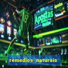 remedios naturais para diabetes